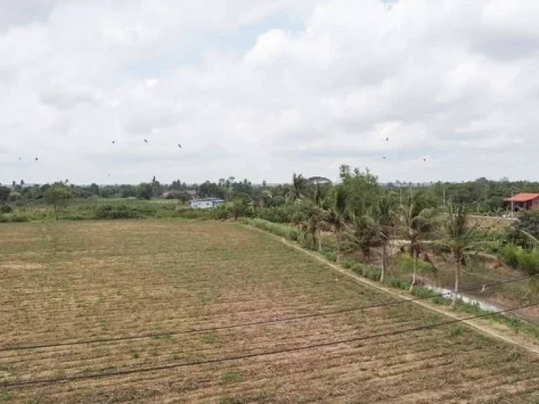 ขาย ที่ดิน ตดอนปรู อศรีประจันต์ จสุพรรณบุรี ติดคลอง ติดทางสาธารณประโยชน์