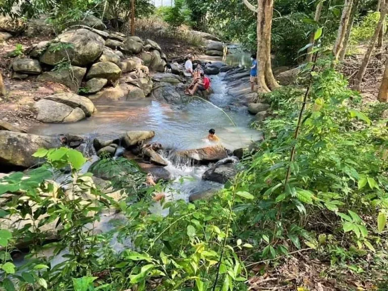 ขายที่ธรรมชาติ ขายความสุขที่ดินวิวเขา ลำธารน้ำไหล เล่นน้ำได้ พักผ่อนนั่งชมวิวได้สบาย อบ้านค่าย จระยอง