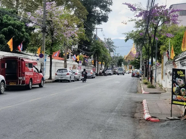 ขายด่วน ที่ดินในคูเมือง 167 ตรว พร้อมสิ่งปลูกสร้าง 40 กว่าห้อง ใกล้วัดพระสิงห์ และถนนคนเดินวันอาทิตย์ เชียงใหม่