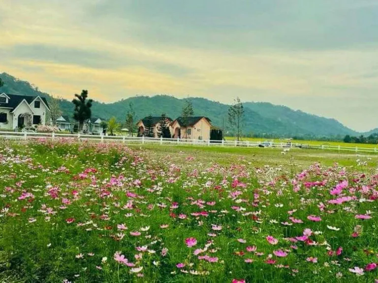 ที่ดินวิวสวย หาที่ไหนไม่ได้อีกแล้ว วิวดอกไม้ ทุ่งนา และภูเขา ตำบลสาริกา เมืองนครนายก 1 ไร่