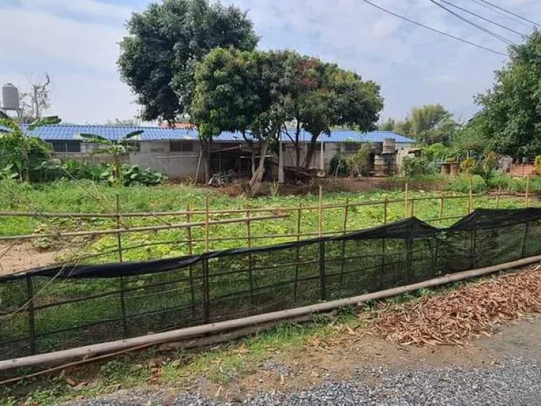 ขายที่ดินเหมืองแก้วแม่ริมติดถนนคอนกรีตห่างตลาดสด 15km