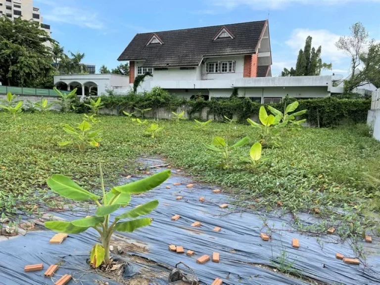 ขายที่ดิน สุขุมวิท103 อุดมสุข 250วา ทำเลดี ใกล้รถไฟฟ้า 2 สาย แปลงสวย ถมแล้ว ราคาพิเศษ