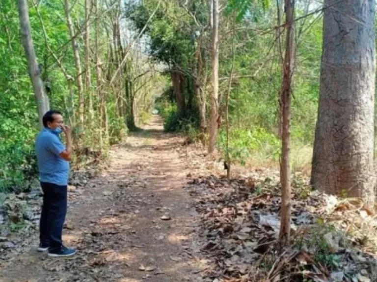 ขาย ที่ดิน ทำเลเยี่ยม ติดถนนมิตรภาพ กุมภวาปี อุดรธานี