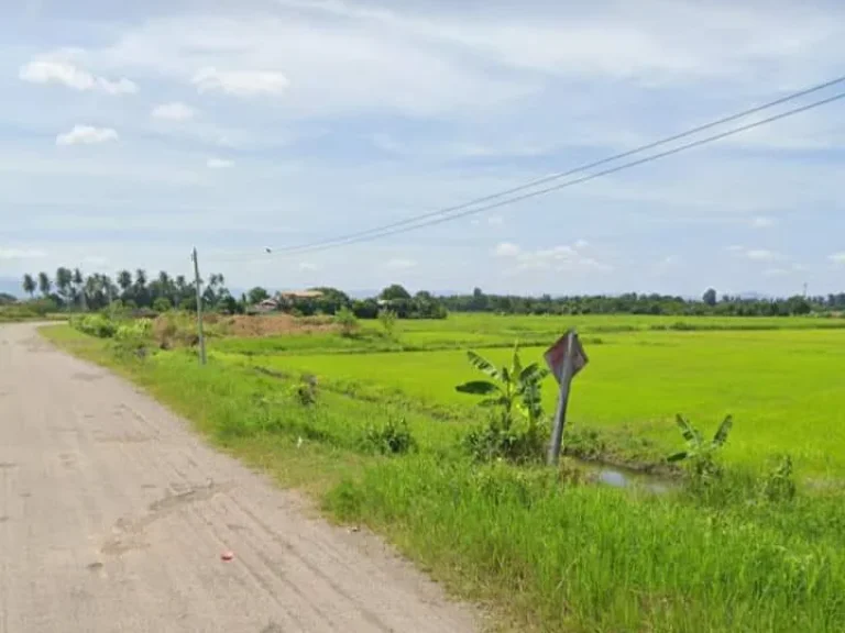 ที่นาแปลงสวย โฉนดติดถนนาดยาง มีไฟฟ้า ใกล้ชุมชน เพชรบูรณ์