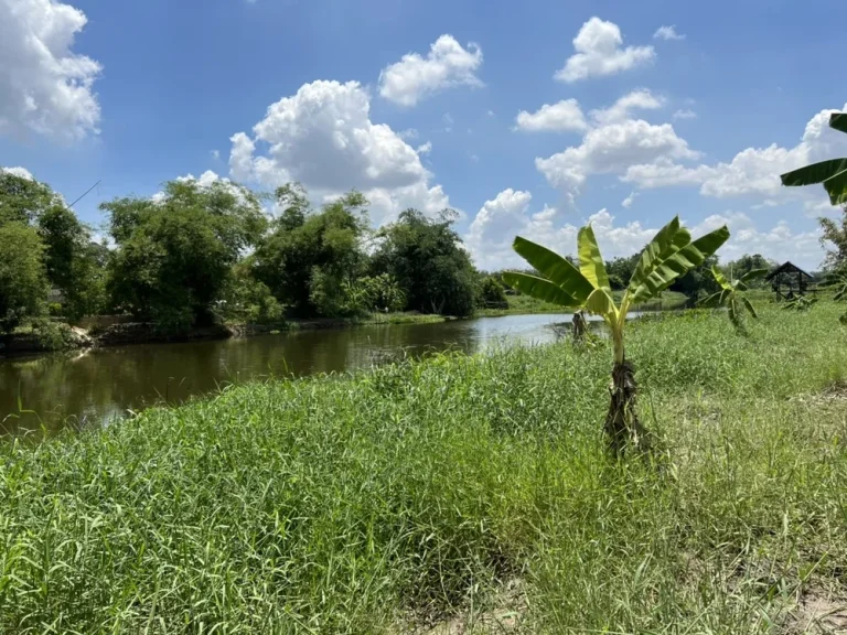 ที่ดินหน้าติดถนน หลังติดน้ำ วิวสวย คลอง 15-16 องค์รักษ์