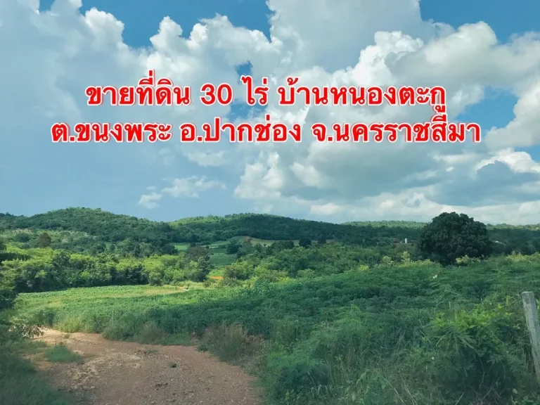 ขายที่ดิน 30 ไร่ บ้านหนองตะกู อปากช่องเขาใหญ่ วิวบนเนินเขา