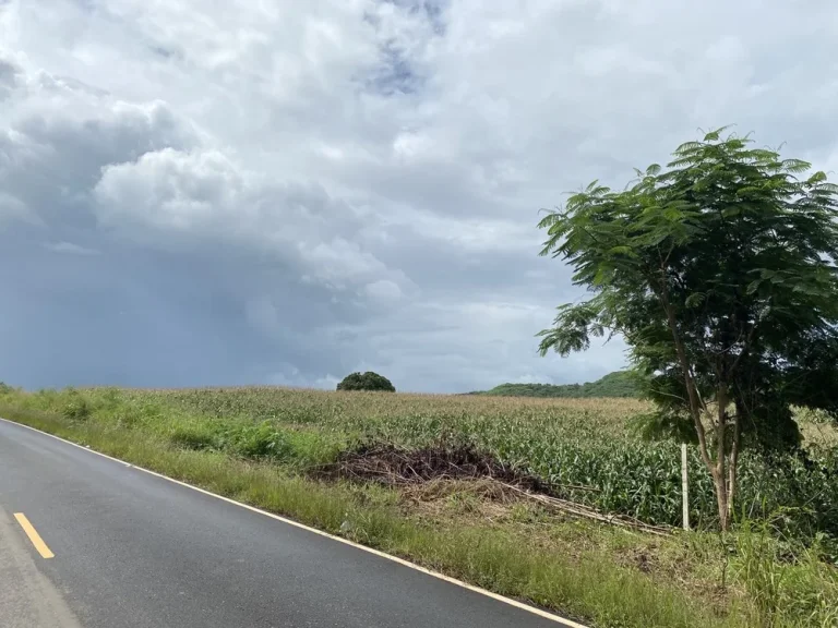 ขายที่ดิน 30 ไร่ บ้านหนองตะกู อปากช่องเขาใหญ่ วิวบนเนินเขา