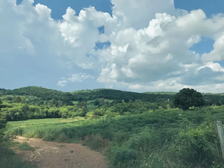 ขายที่ดิน 30 ไร่ บ้านหนองตะกู อปากช่องเขาใหญ่ วิวบนเนินเขา