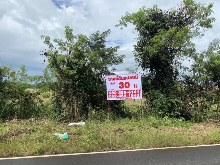 ขายที่ดิน 30 ไร่ บ้านหนองตะกู อปากช่องเขาใหญ่ วิวบนเนินเขา