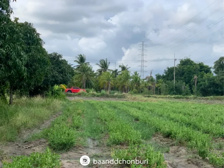 ขายที่ดินสวย ที่สุดการทำเล ติดถนน เดินทางสะดวก เมืองบางแสน ชลบุรี