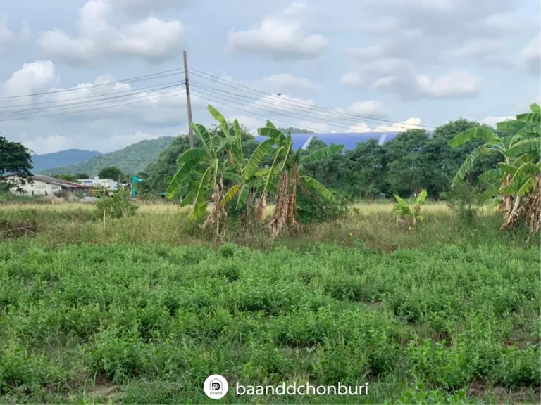 ขายที่ดินสวย ที่สุดการทำเล ติดถนน เดินทางสะดวก เมืองบางแสน ชลบุรี