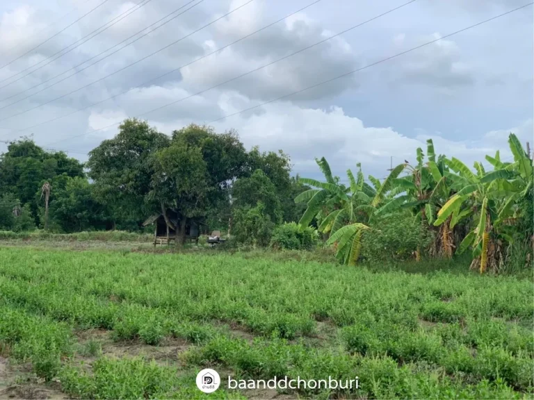 ขายที่ดินสวย ที่สุดการทำเล ติดถนน เดินทางสะดวก เมืองบางแสน ชลบุรี