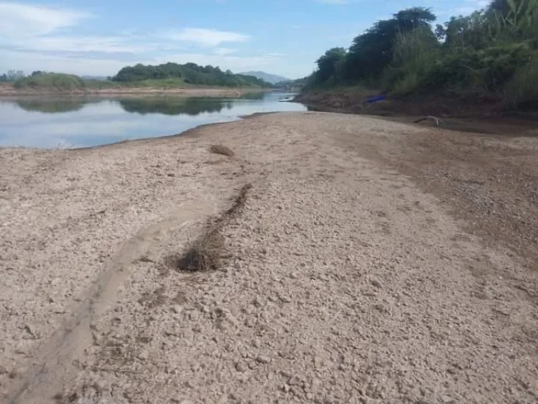 ขายที่ดินใกล้โครงการสะพานมิตรภาพไทยลาว อ ปากชมติดริมแม่น้ำโขง ราคาดีมากน่าเก็งกำไร