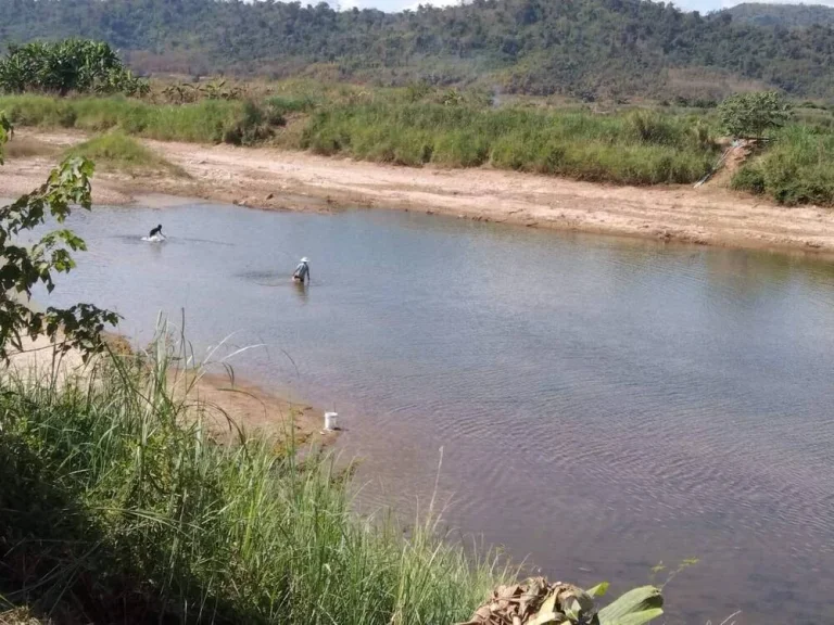 ขายที่ดินใกล้โครงการสะพานมิตรภาพไทยลาว อ ปากชมติดริมแม่น้ำโขง ราคาดีมากน่าเก็งกำไร