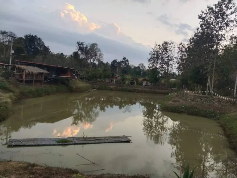 ขายที่ดินใกล้โครงการสะพานมิตรภาพไทยลาว อ ปากชมติดริมแม่น้ำโขง ราคาดีมากน่าเก็งกำไร