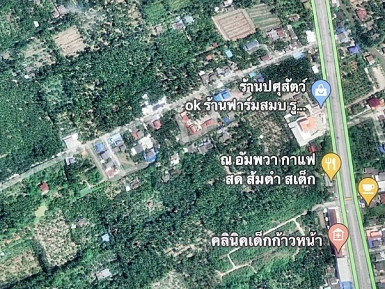 ขายที่สวน มะพร้าว และ ไม้เบญจพรรณ พร้อมบ้านพัก 1 หลัง ต บางพรม อบางคนที สมุทรสงคราม