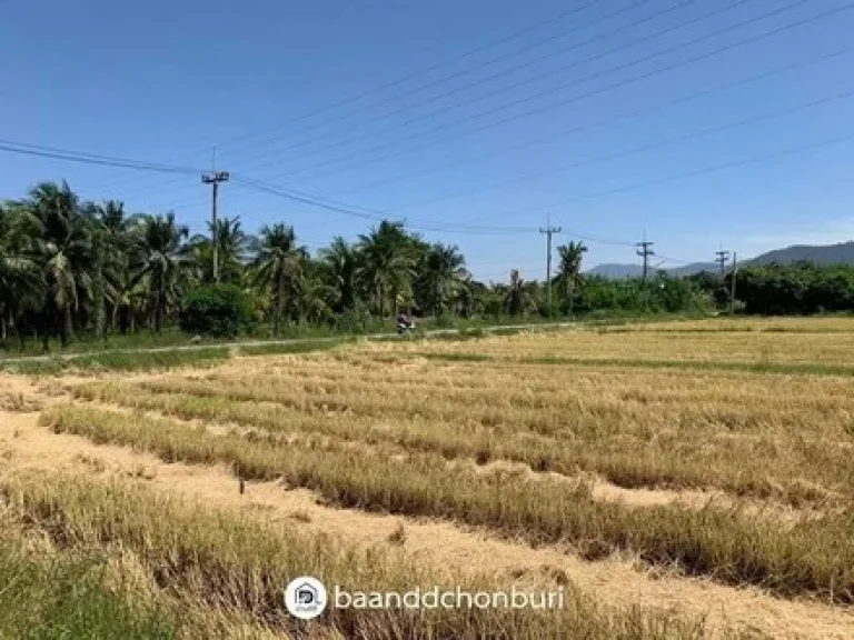 ขายที่ดินสวย ที่สุดการทำเล ติดถนน เดินทางสะดวก เมืองบางแสน ชลบุรี