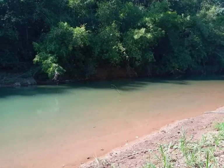 ที่ดินแปลงสวย ติดถนนลาดยาง และแม่น้ำน่าน ทุ่งช้าง น่าน