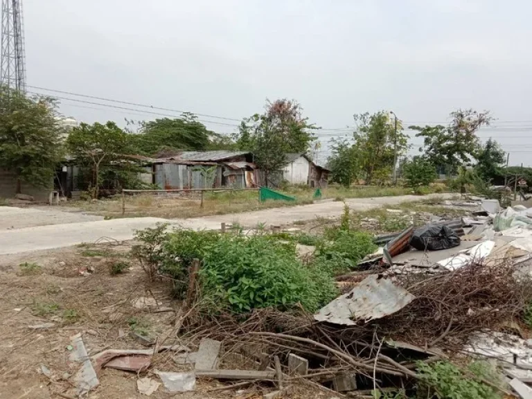 ให้เช่าที่ดิน ย่านคลองพระอุดม อำเภอปากเกร็ด นนทบุรี