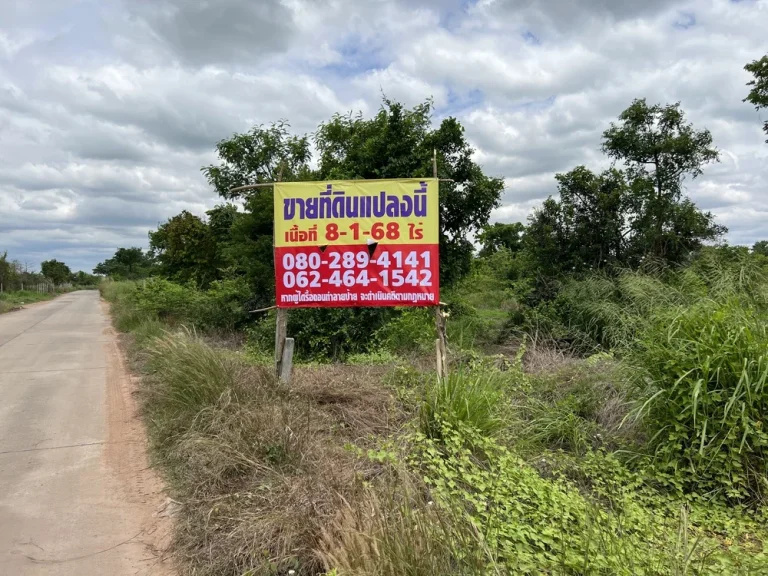 ขายที่ดิน 8 ไร่ ใกล้ถนนมิตรภาพ กม 114 อสูงเนิน เข้าจากปากซอยเพียง 160 เมตร