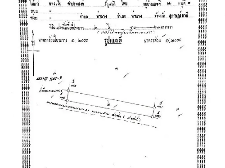 ขายที่ดิน 22 ไร่ ติดถนน ตท่าฉาง อท่าฉาง จสุราษฎร์ธานี