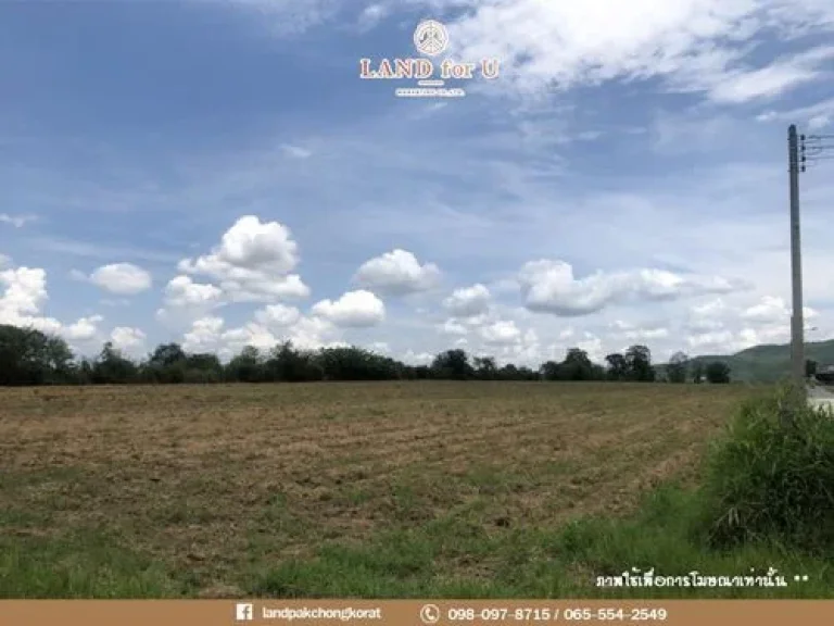 ขายที่ดินติดถนน ทำเลดี เห็นวิวเขา ใกล้ถนนหนองสาหร่าย ตหนองสาหร่าย อปากช่อง จนครราชสีมา