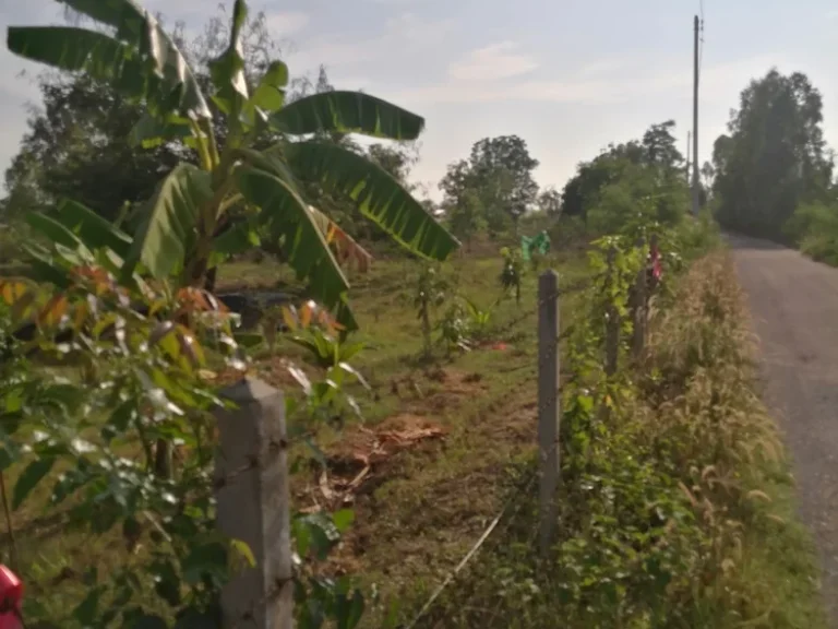 ที่ดินพร้อมบ้านพักอาศัยแนวรีสอนและทำเกตรพอเพี่ยงพล้อมเข้าอยู่อาศัยได้เลย