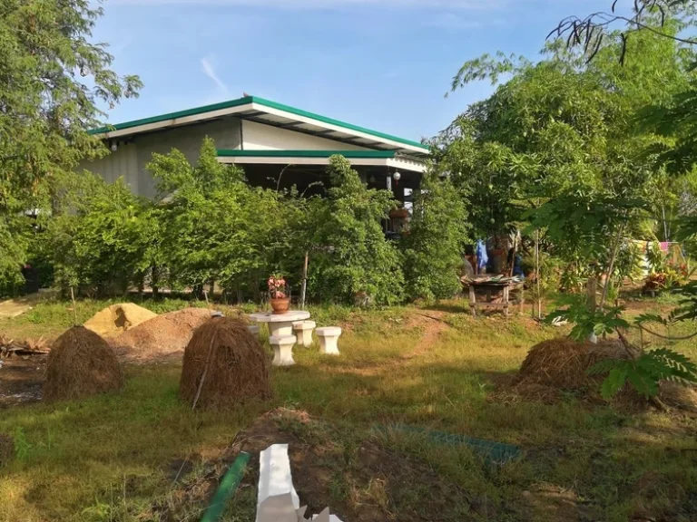 ที่ดินพร้อมบ้านพักอาศัยแนวรีสอนและทำเกตรพอเพี่ยงพล้อมเข้าอยู่อาศัยได้เลย