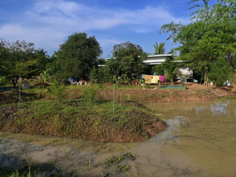 ที่ดินพร้อมบ้านพักอาศัยแนวรีสอนและทำเกตรพอเพี่ยงพล้อมเข้าอยู่อาศัยได้เลย