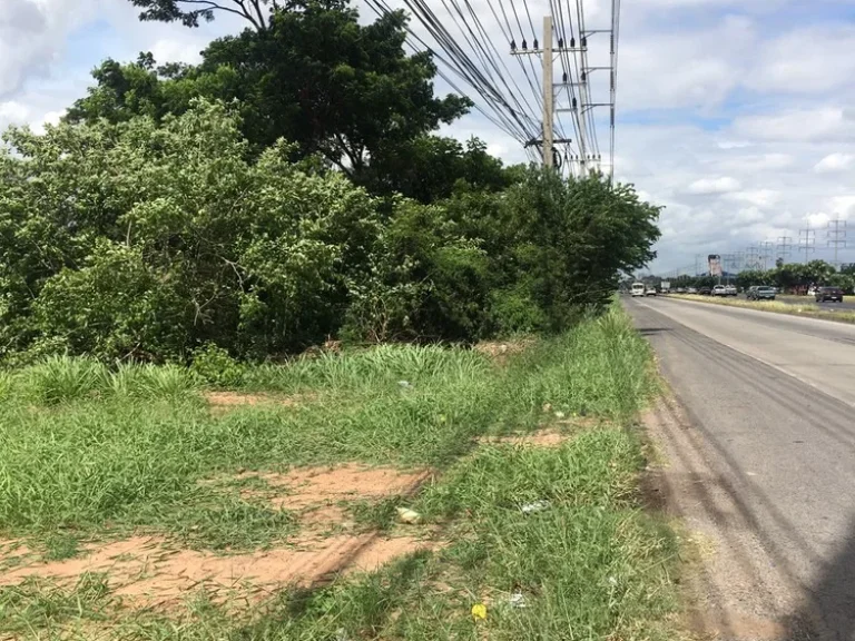 ขายที่ดิน 13 ไร่เศษ ใกล้วิหารหลวงพ่อโต วัดสรพงษ์ ติดถนนมิตรภาพ ตมะเกลือใหม่ อสูงเนิน ไร่ละ 3 ล้าน ด้านหลังติดคลอง