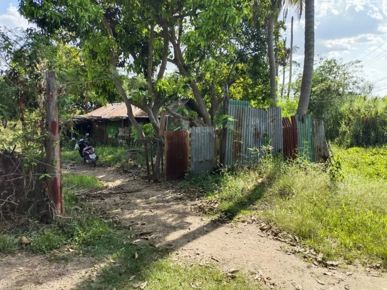 ขายที่ดินถูกสุดๆ อยู่ในชุมชน ติดถนนหลวง3509 โพประจักษ์ ท่าช้าง สิงห์บุรี เหมาะทำที่พักอาศัย รีสอร์ท 300000ไร่ 27ไร่217วา