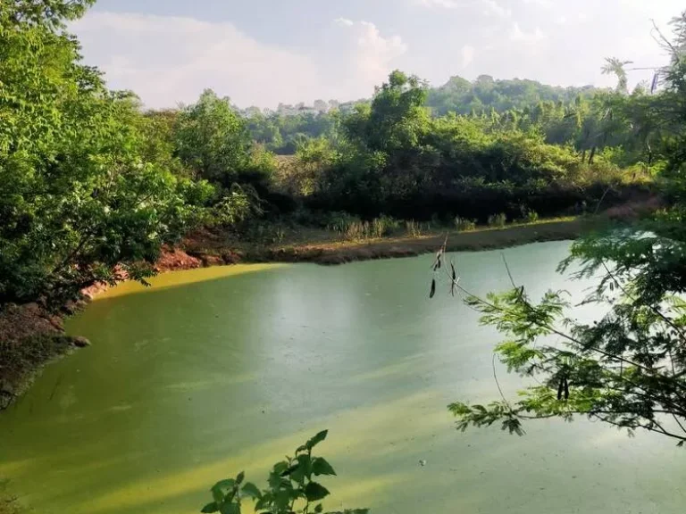 ขายที่ดิน 10 ไร่ เจ้าของขายเอง ตำบลเขาน้อย อำเภอท่าม่วง จังหวัดกาญจนบุรี