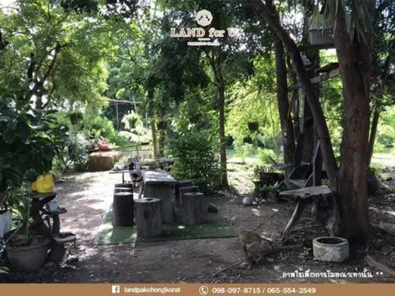 ขายบ้านพร้อมที่ดิน ใจกลางเมืองสุพรรณบุรี ตรั้วใหญ่ อเมืองสุพรรณบุรี จสุพรรณบุรี