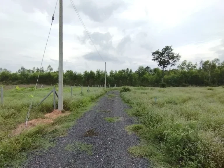 ที่ดินเปล่า ใกล้ โรงพยาบาล50พรรษาและถนนตัดใหม่ เส้นรอบเมืองอุบลฯ