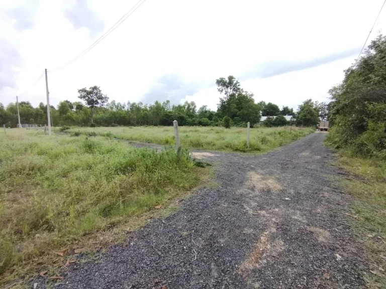 ที่ดินเปล่า ใกล้ โรงพยาบาล50พรรษาและถนนตัดใหม่ เส้นรอบเมืองอุบลฯ