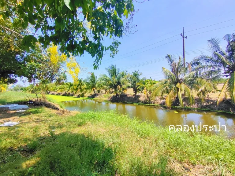 ที่ดินติดคลองประปามหาสวัสดิ์แบ่งขาย 3-5 ไร่ ที่สวยบรรยากาศดี