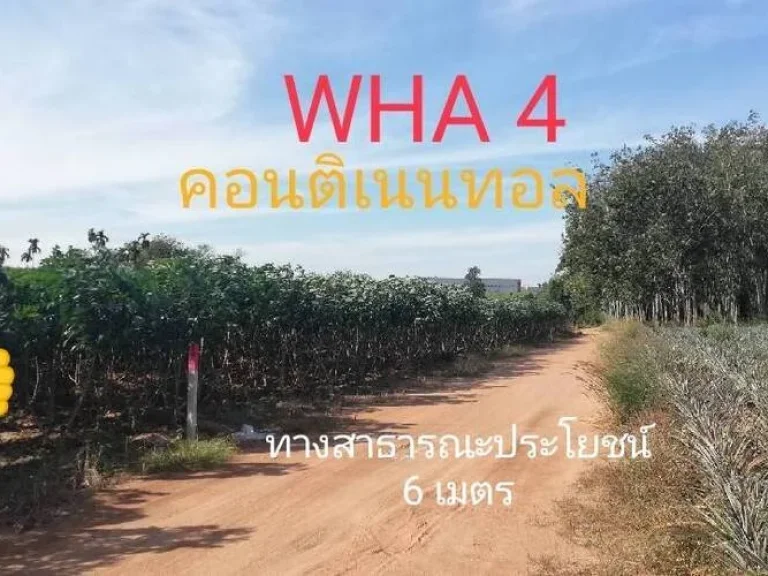 ขาย ที่ดิน 5ไร่ 10 ไร่ ใกล้มาก WHA 4 คอนติ วัดหลวงปู่ทิม บ้านค่าย ปิ่นทอง 6 และ อีสเทิร์น ซีบอร์ด