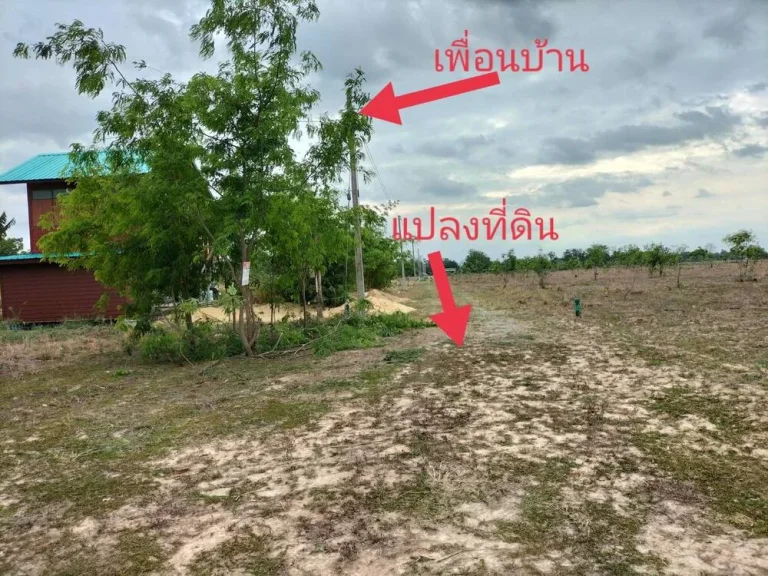 ขายที่ดิน 2 ไร่ 1งาน อดอนเจดีย์ จสุพรรณบุรี ราคา 690000 บาท