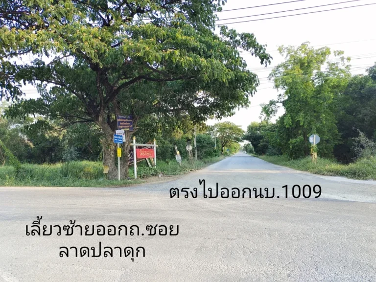 ที่ดิน395 ตรว หนองเพรางาย เหมาะทำโกดัง วาละ 8750 บาท