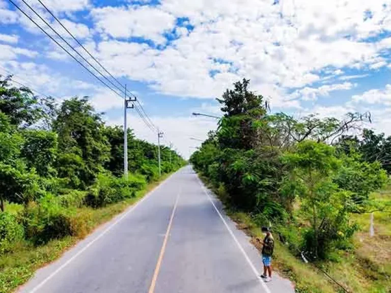 ขายที่ดินแปลงใหญ่ 122 ไร่ หนองผักนาก สามชุก สุพรรณบุรี