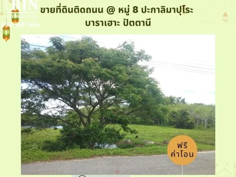 ขายที่ดิน ติดถนนดำ 6 ห้องกว่า 157 ตรวหมู่ 8 ปะกาลิมาปุโระ บาราเฮาะ ปัตตานี