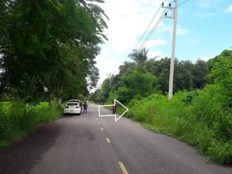 ขายที่ดิน ติดน้ำตกเฒ่าโต้ อยู่ในเขตเทศบาลหนองบัวลำภู