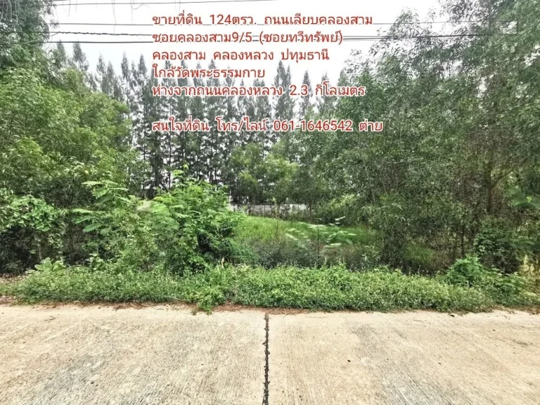 ขายที่ดิน 124 ตรว ถนนเลียบคลองสาม ซอยคลองสาม 95 ซอยทวีทรัพย์ คลองหลวง ปทุมธานี