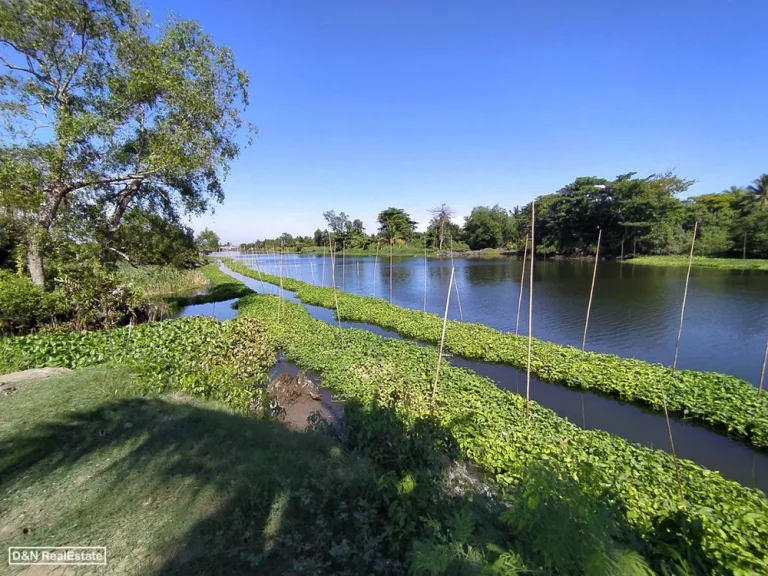 ขาย ที่ดิน 105 ไร่ ติดคลองดำเนินสะดวก สวนส้ม บ้านแพ้ว สมุทรสาคร ถมบางส่วน ใกล้วัดบางยาง