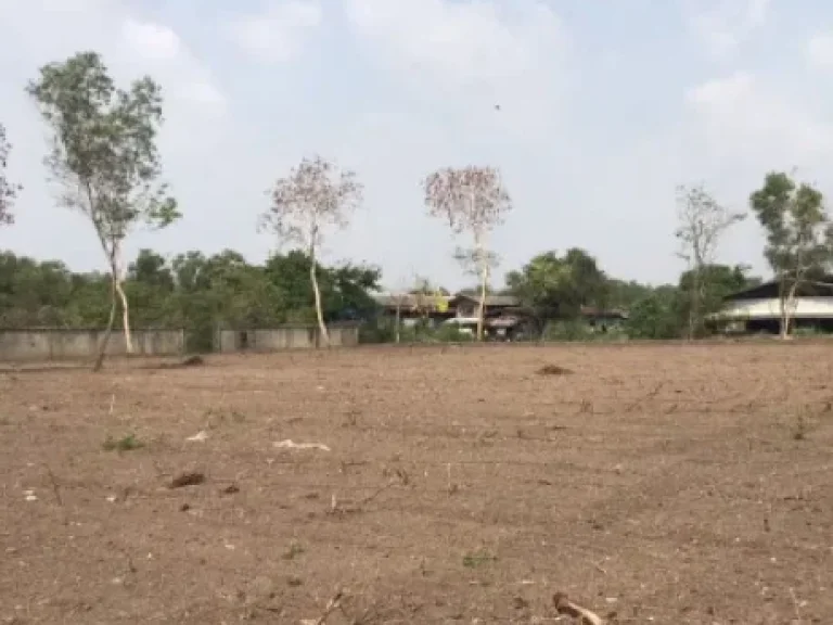 ขายที่ดินเปล่า 3 ไร่ รังสิต คลอง 4 อำเภอคลองหลวง ปทุมธานี นายหน้าติดเจ้าของ