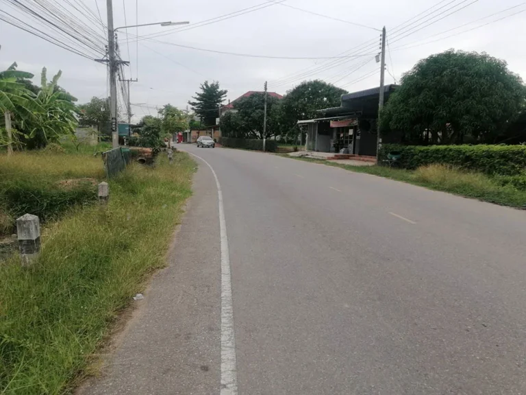 ขายที่ดินถมเเล้ว 741 ตรว ติดถนนดำ ใกล้สถานีรถไฟเต็งหนาม อำเภอเมืองพิษณุโลก