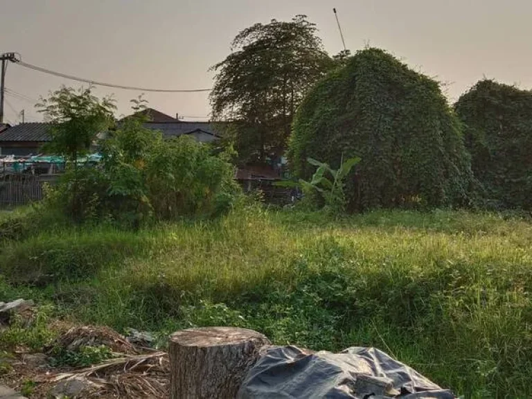 ขาย ที่ดิน สร้างบ้านแปลงใหญ่ หน้าหมู่บ้านกาญจน์กนกวิลล์ 19 บ้านเกตุภิรมย์ ท่าวังตาล ถบ้านกลาง อสารภี 2 งาน 89 ตรวา ถูกสุดๆ ปกติวาละ 14000