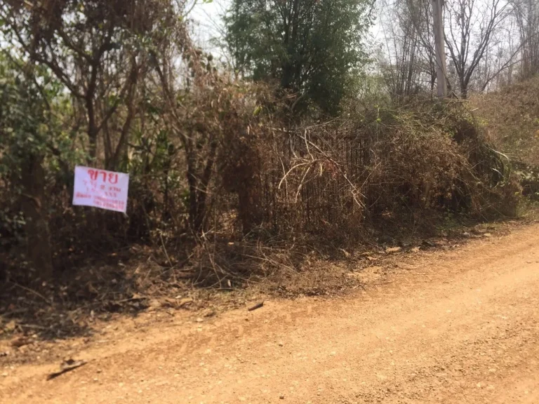 ขายที่ดินพร้อมบ้าน 7ไร่2งาน ตำบลเกาะคา อำเภอเกาะคา จังหวัดลำปาง อยู่ท้ายหมู่บ้าน