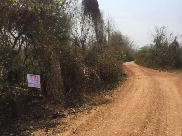 ขายที่ดินพร้อมบ้าน 7ไร่2งาน ตำบลเกาะคา อำเภอเกาะคา จังหวัดลำปาง อยู่ท้ายหมู่บ้าน