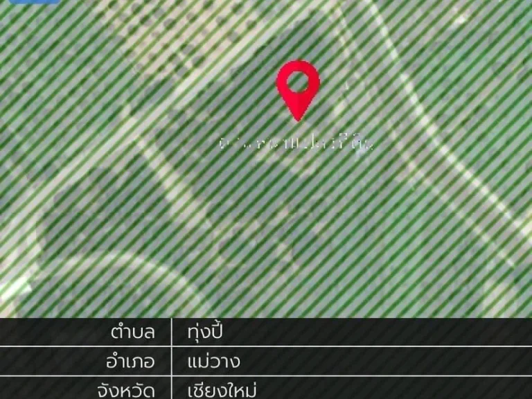 ขายที่ดิน 8-0-28 ไร่ ตทุ่งปี้ อำเภอแม่วาง จังหวัดเชียงใหม่